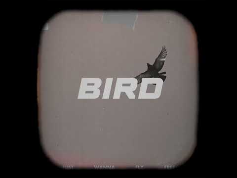 HAN - Bird (Visualizer)