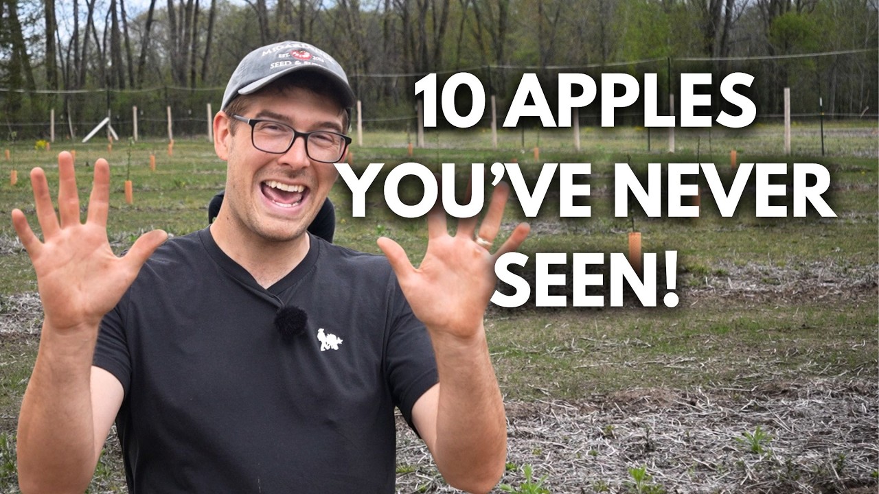 10 Apple Varieties I Bet You Never Knew Existed