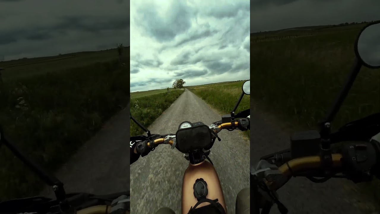 Honda Domi pure sound 