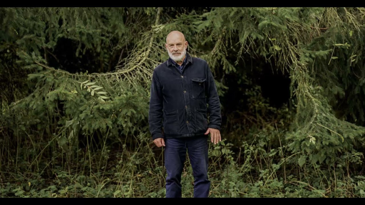 Brian Eno - Compact Forest Proposal (Full Album) [Stretched]