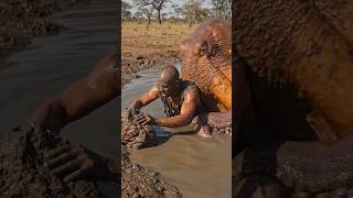 Today viral Trending short video# #bollywoodtrend #funnytrend #new #war trend#iran#israel#american