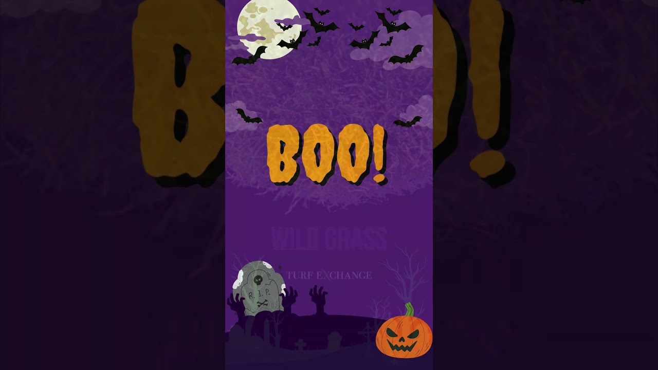 say no to Ugly Scary toxic turf,  Install Artificial Grass by Turf Exchange - Realistic fake grass