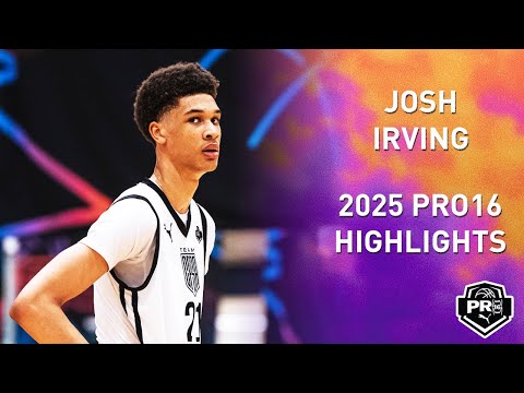 Highlight 1
