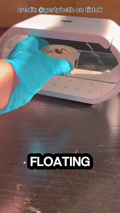 one of the most unique products you've probably ever seen