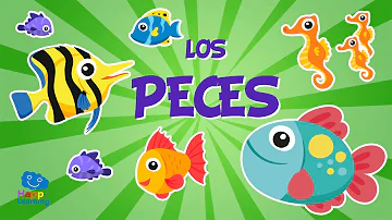 ¿Cuál es el papel de los peces en el ecosistema?