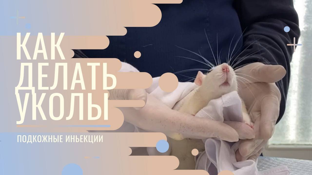 Подкожные инъекции видеоинструкция