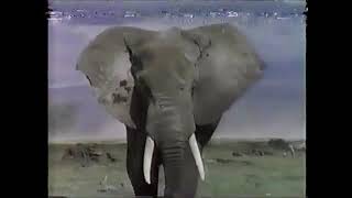 PTV Park Program Break (1997 WHYY)