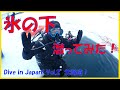 Dive in Japan! Vol.2  北海道ウトロ（前編）　流氷の海に潜ってみた！