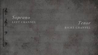 292. Nimm von uns, Herr, du treuer Gott, BWV 101 - (Isolated Soprano &amp; Tenor Parts)