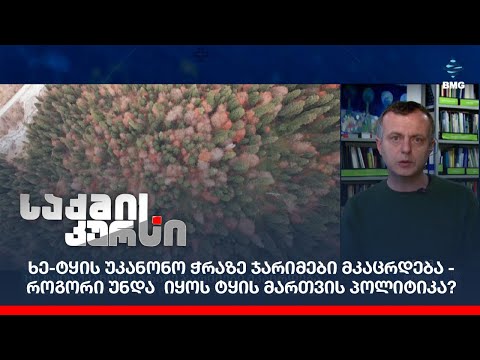 ხე-ტყის უკანონო ჭრაზე ჯარიმები მკაცრდება - როგორი უნდა  იყოს ტყის მართვის პოლიტიკა?