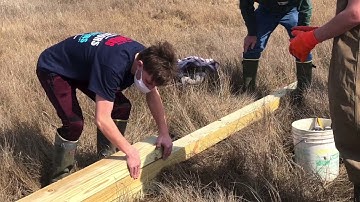 Barn owl nest installation