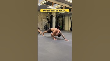 Crawl Walkout to Lunge Flow for Full-Body Strength, Coordination & Core Control 💥