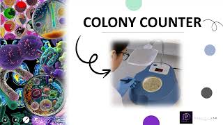 COLONY COUNTER