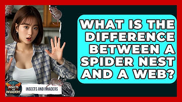 What Is The Difference Between A Spider Nest And A Web? - Insects and Invaders
