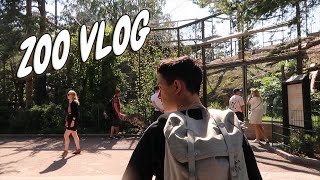 We saw LIONS ! | Zoo vlog