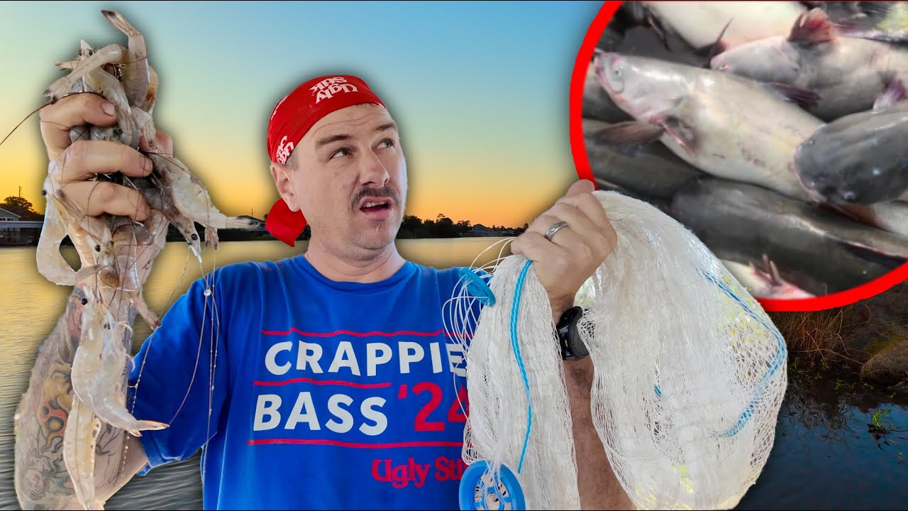 Борьба с тоннами сома во время ловли креветок сетями (поймать и приготовить)