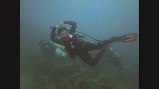 Diving Trench Reef Fajardo Puerto Rico With Cerisa Falu