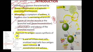 pharmanurse lec24... Asthma