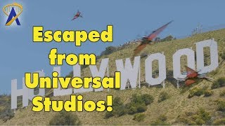 Juric Pteranodons Flying Around The Hollywood Sign