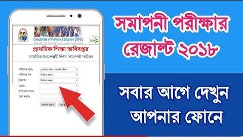 সমাপনী পরীক্ষার রেজাল্ট দেখুন আপনার মোবাইল দিয়ে PSC Result Check।