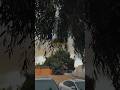 മഴക്കാർ 🌦️ Al Qusais | Dubai | Street View | Rain in Dubai #rainindubai #shorts #uae #easthetic