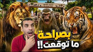 😳 لن تصدق ماذا وجدت داخل منتزه الخور للعائلات في قطر! مكان خرافي