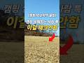 캠핑 고수들은 이거까지 체크한다고? 의외로 모르는 캠핑꿀팁 #camping  #캠핑  #캠핑용품  #캠핑꿀팁  #캠핑장 #캠핑장꿀팁 #워터저그 #제빙기 #따따베제빙기