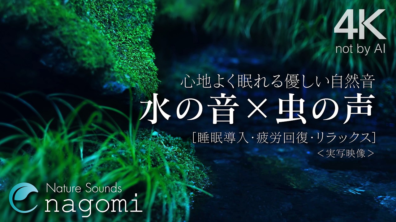 【睡眠用BGM/水の音】心地よく眠れる優しい水の音・虫の声｜睡眠導入・疲労回復・癒し・リラックス｜自然音/ASMR