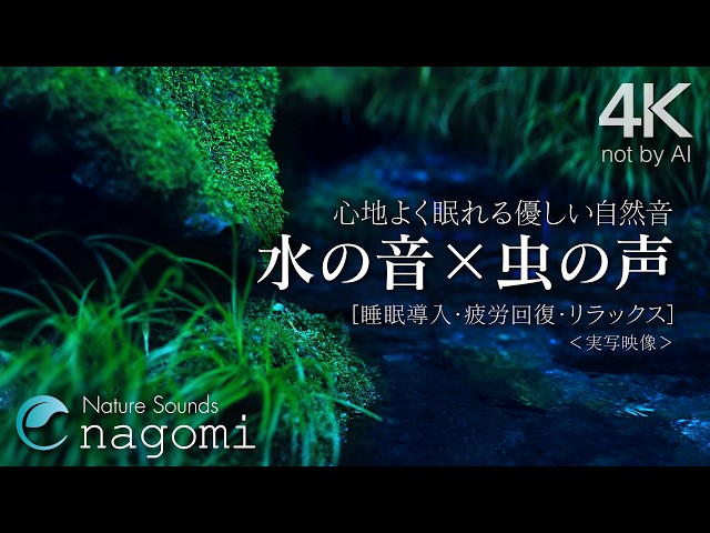 【睡眠用BGM/水の音】心地よく眠れる優しい水の音・虫の声｜睡眠導入・疲労回復・癒し・リラックス｜自然音/ASMR