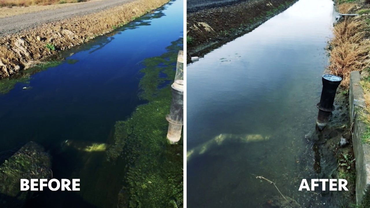 Algae Corner: Controlling Tough Algae with Captain XTR - YouTube