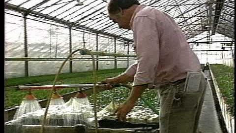 IPM in Greenhouses