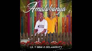 Lil V BBM & Delamighty - Amalokonya