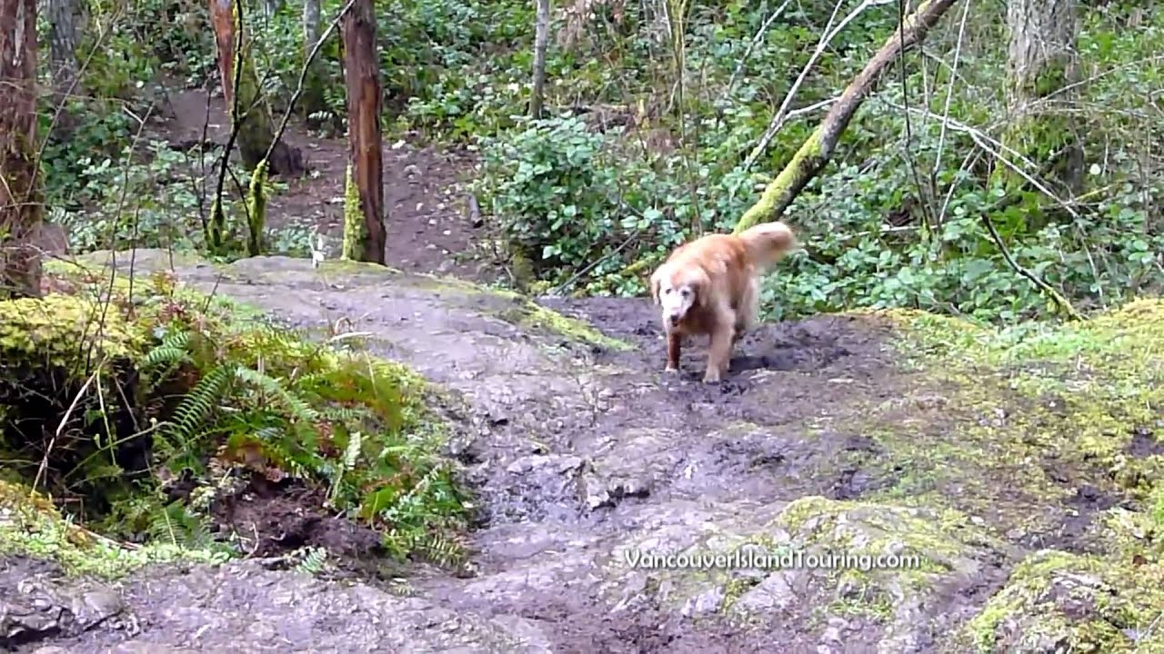 Linley Valley - city escape in Nanaimo .MP4