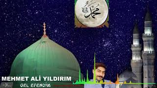 Mehmet Ali Yıldırım Gel Efendim 2021 Resimi