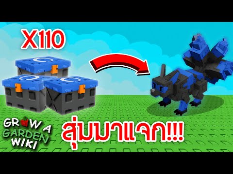 เปิด 110 กล่อง Kitsune จะได้กี่ตัวกันนะ? (Grow a garden) - มีแจก