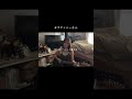 セプテンバーさん / RADWIMPS #cover #弾き語り #歌ってみた #radwimps