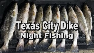 Finally i had a good nigh fishing for speckled trout at texas city
dike. the were on fire right after 10:30pm and limited out by 12:30am.
also caug...