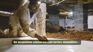 Heartstrong Services Crawlspace Encapsulation