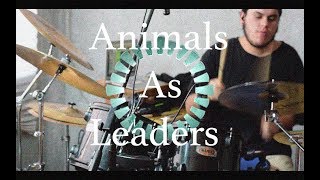 Animals As Leaders-Drum Cover-Another Year
