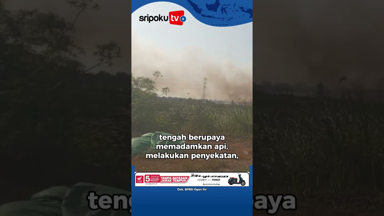 Asap Kebakaran Lahan Membumbung Tinggi di Pemulutan, Ogan Ilir, Sumsel