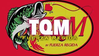 Fuerza Regida - TQM (lyrics)