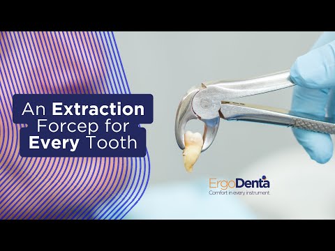 ErgoDenta Dental Extraction Forceps | Best Forceps Kit for Dentists & Clinics