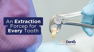 ErgoDenta Dental Extraction Forceps | Best Forceps Kit for Dentists & Clinics