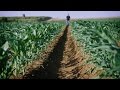 Instructional Video on Soil Moisture Monitoring by Feel & Appearance |  סרט הדרכה למוצר חקלאי