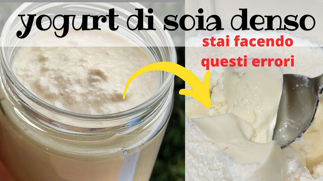 Prendi un vasetto di yogurt e latte di soia e prepara 1 kg di yogurt economico!!