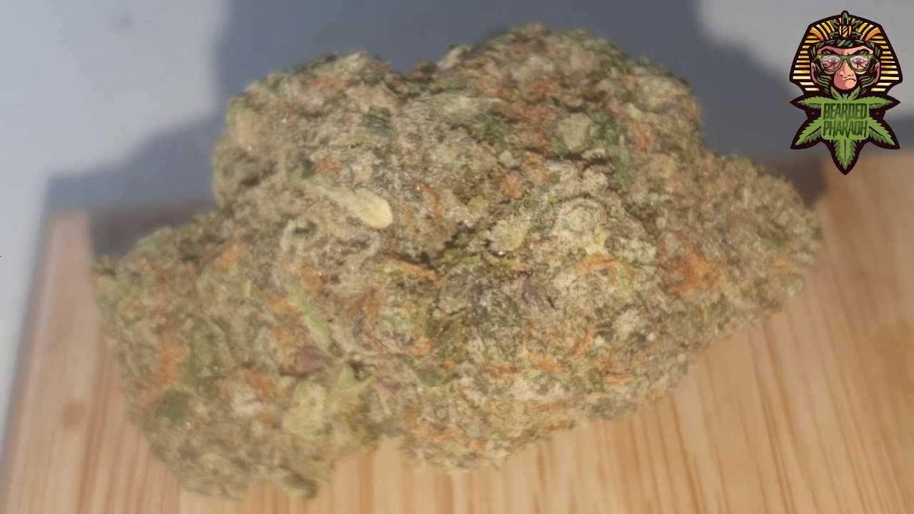Blu Gotti by backpackboyz & 5 points.la- Strain Review