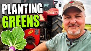 Greens Planting 2026