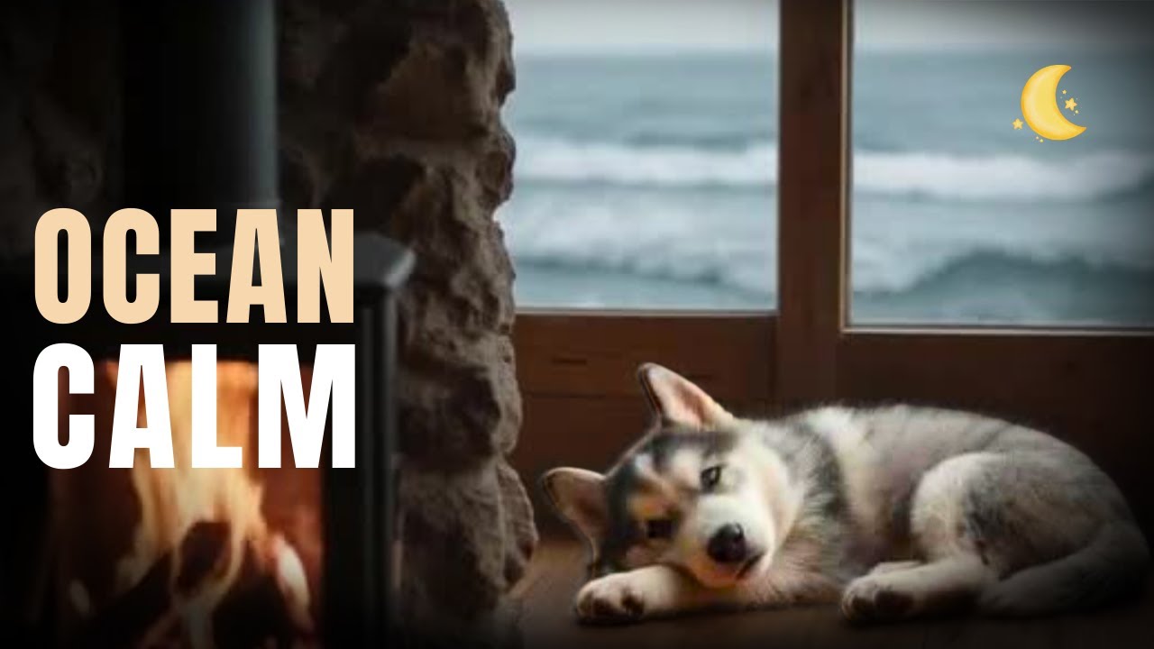 8 Hours of Calming Music for Puppies | Ocean Sounds for Deep Relaxation
