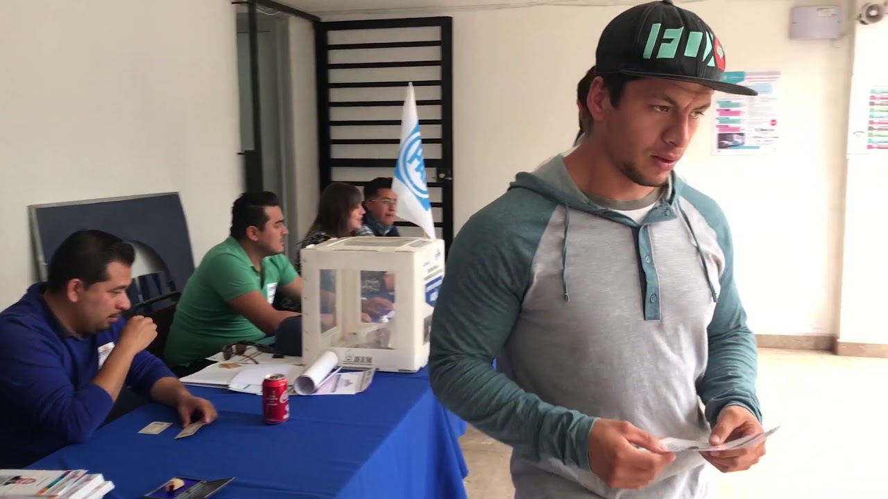 stock elección interna