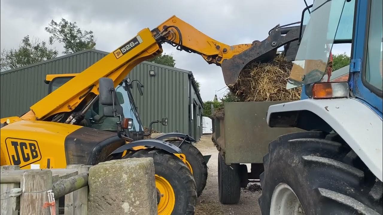muck-heap-removal-day-3-horses-x-4-months-youtube